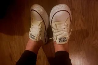 tasty and terffic. fun and qui... - Image 3