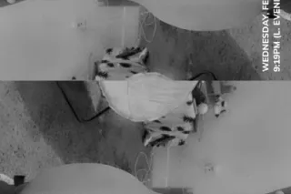 new and for you - Image 4