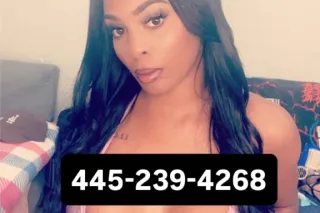 QV specials-Airport best ebony - Image 1